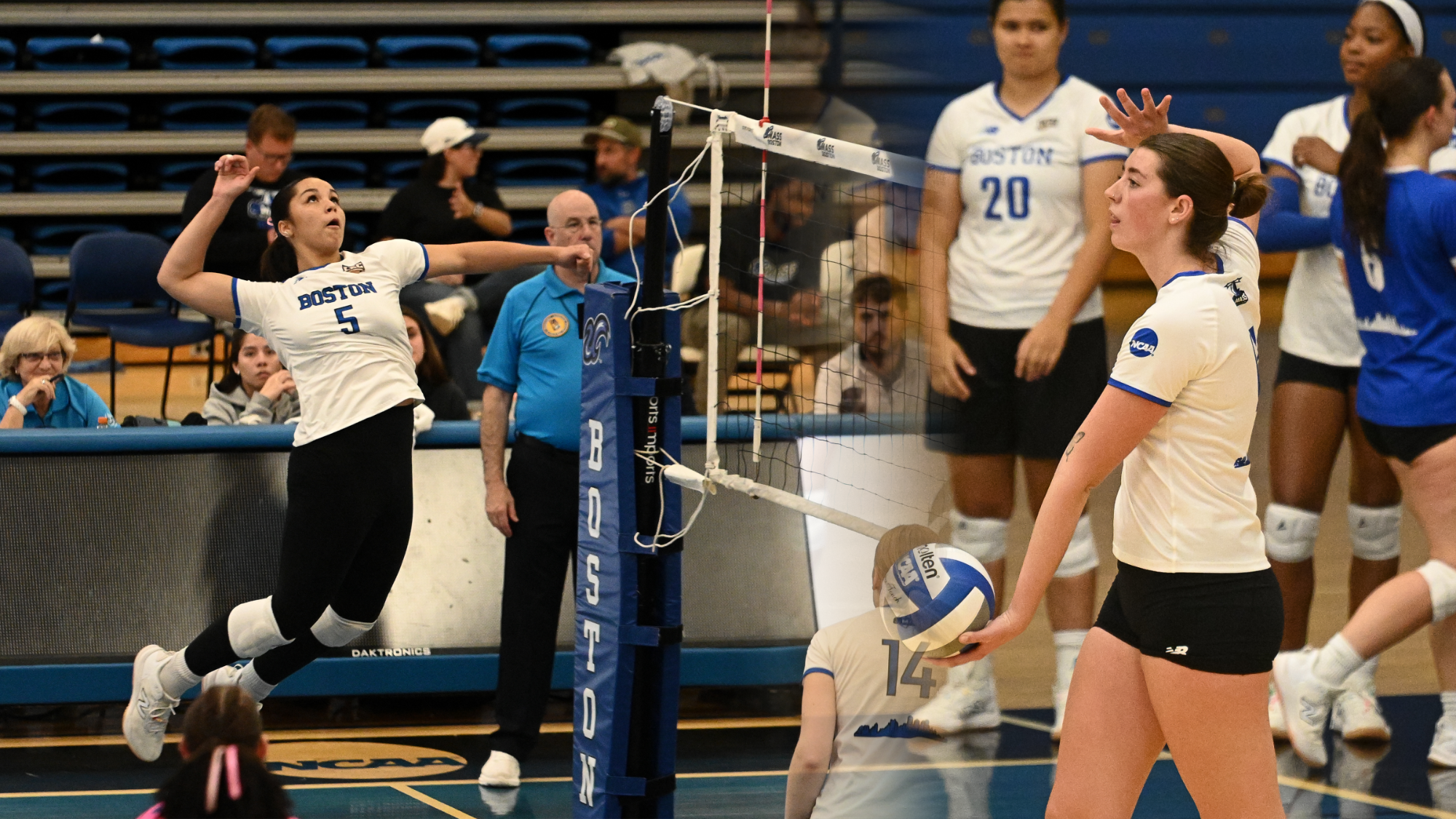 VB LEC AOTW 10-19