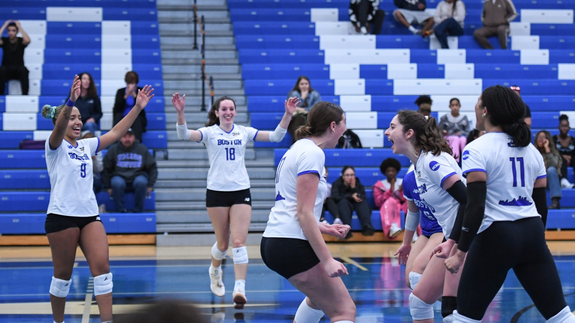 VB Celly RIC 10-3