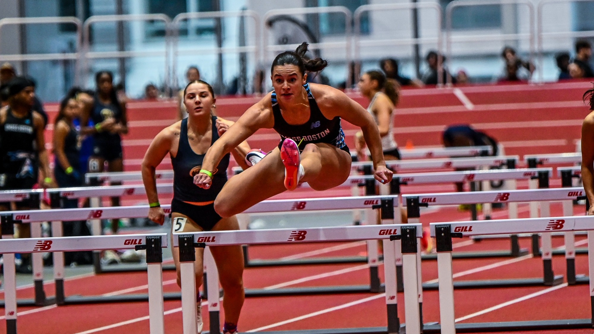 Garceau DIIINE Recap Cover