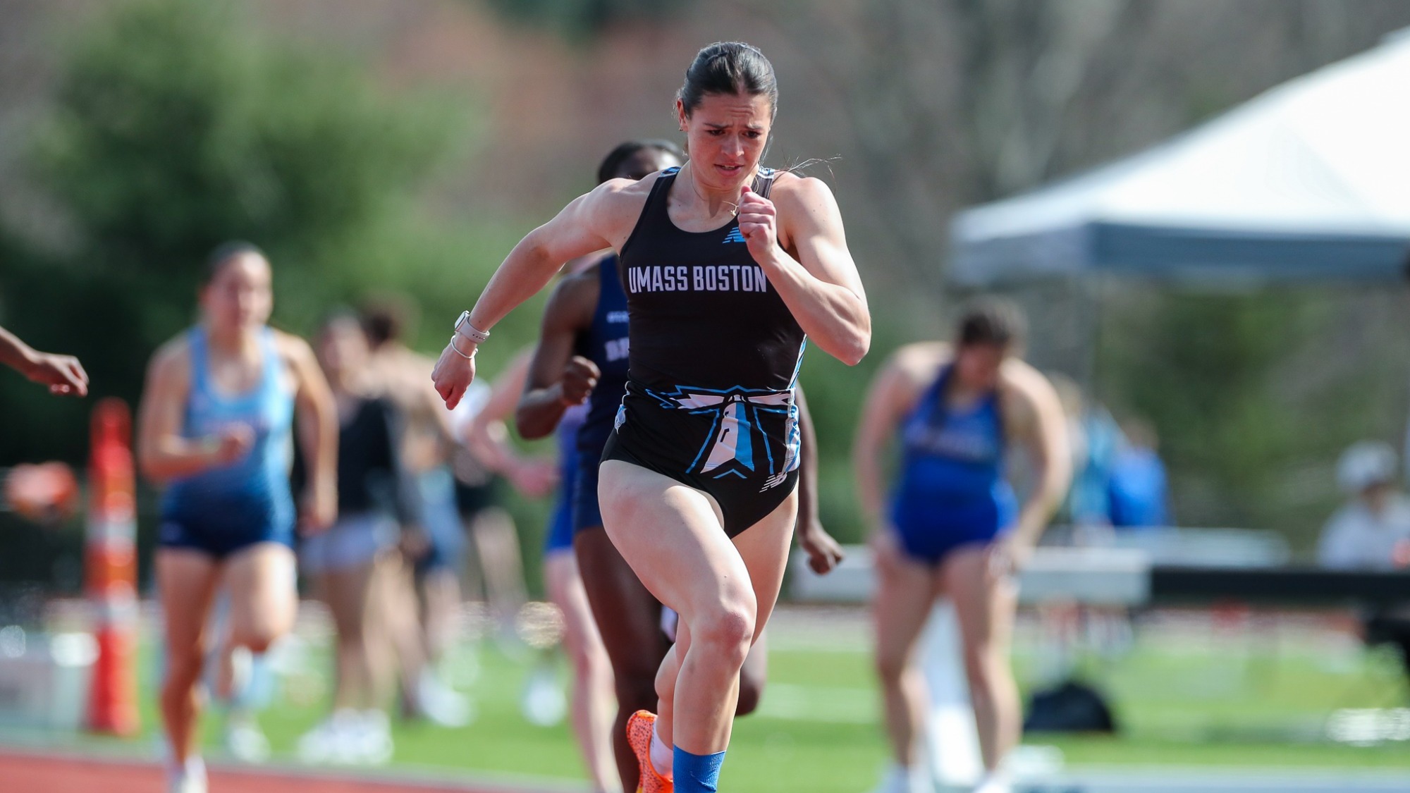 Garceau -- Silfen Recap Cover