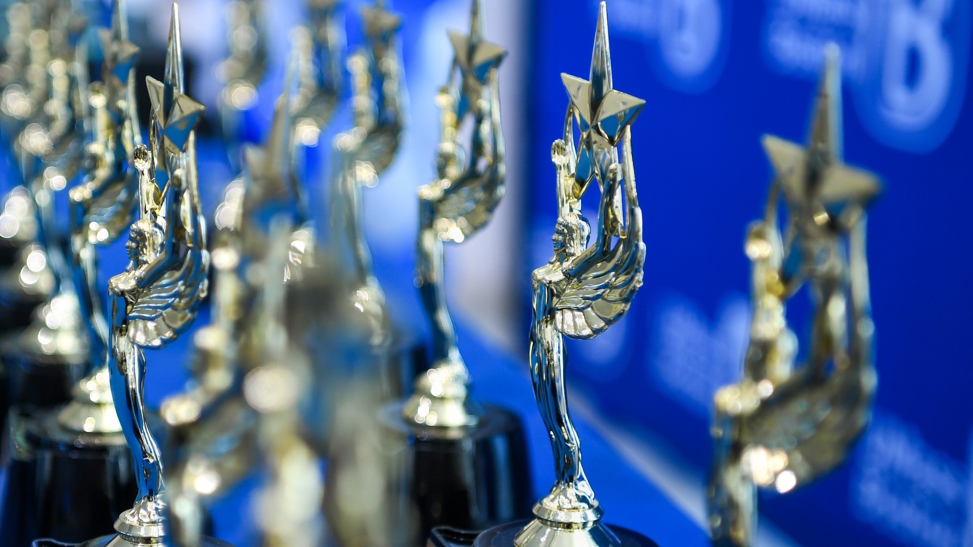 UMBYS awwards