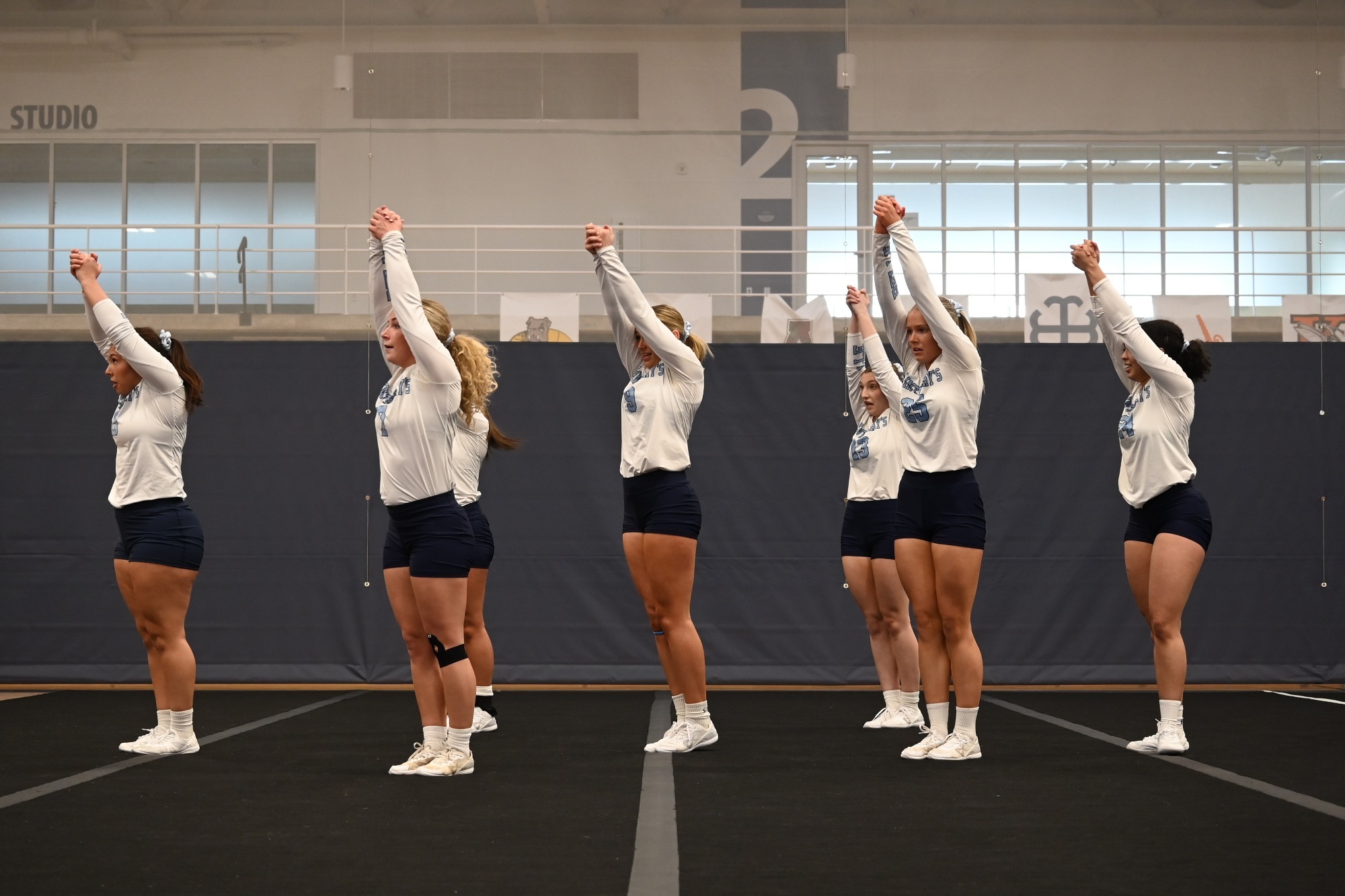 STUNT v Lewis-Malone