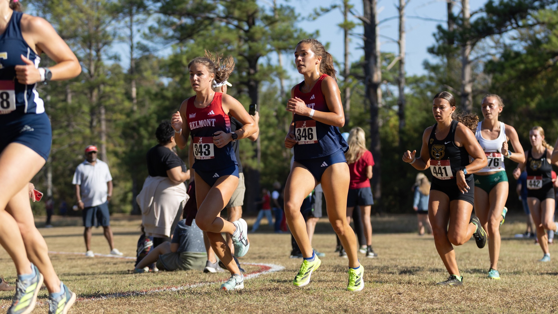 WXC_MVCPreview