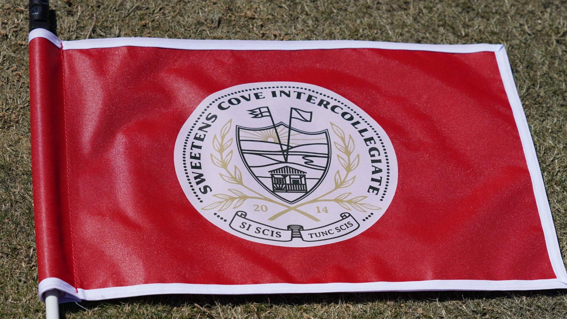 Sweetens Cove Flag
