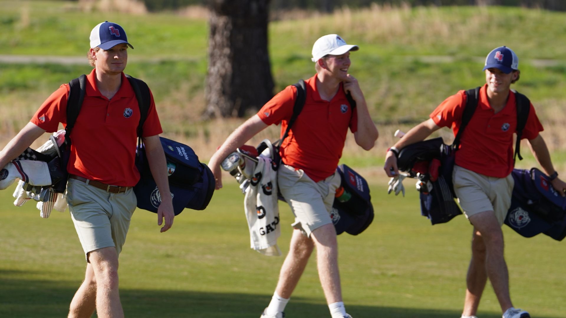 Men's Golfers Group - Sweetens 2026