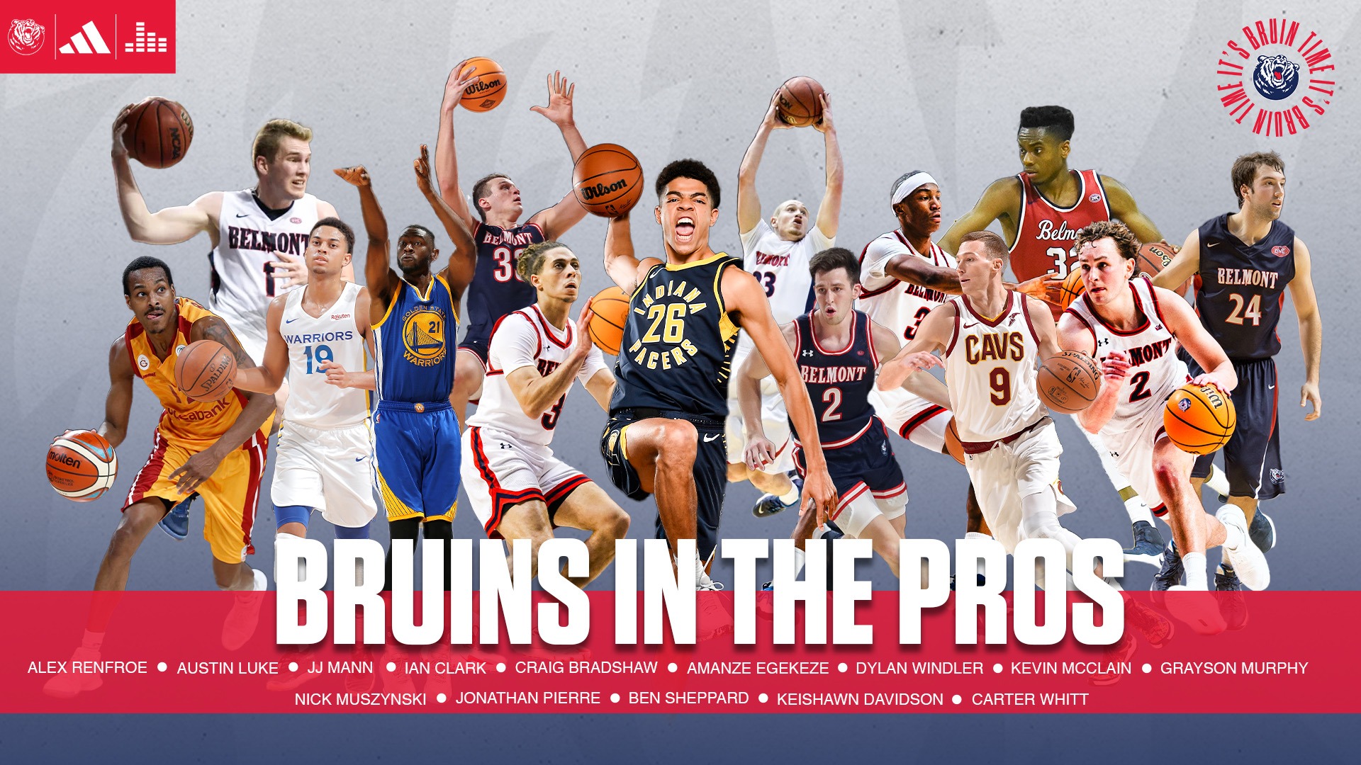 bruins in the pros