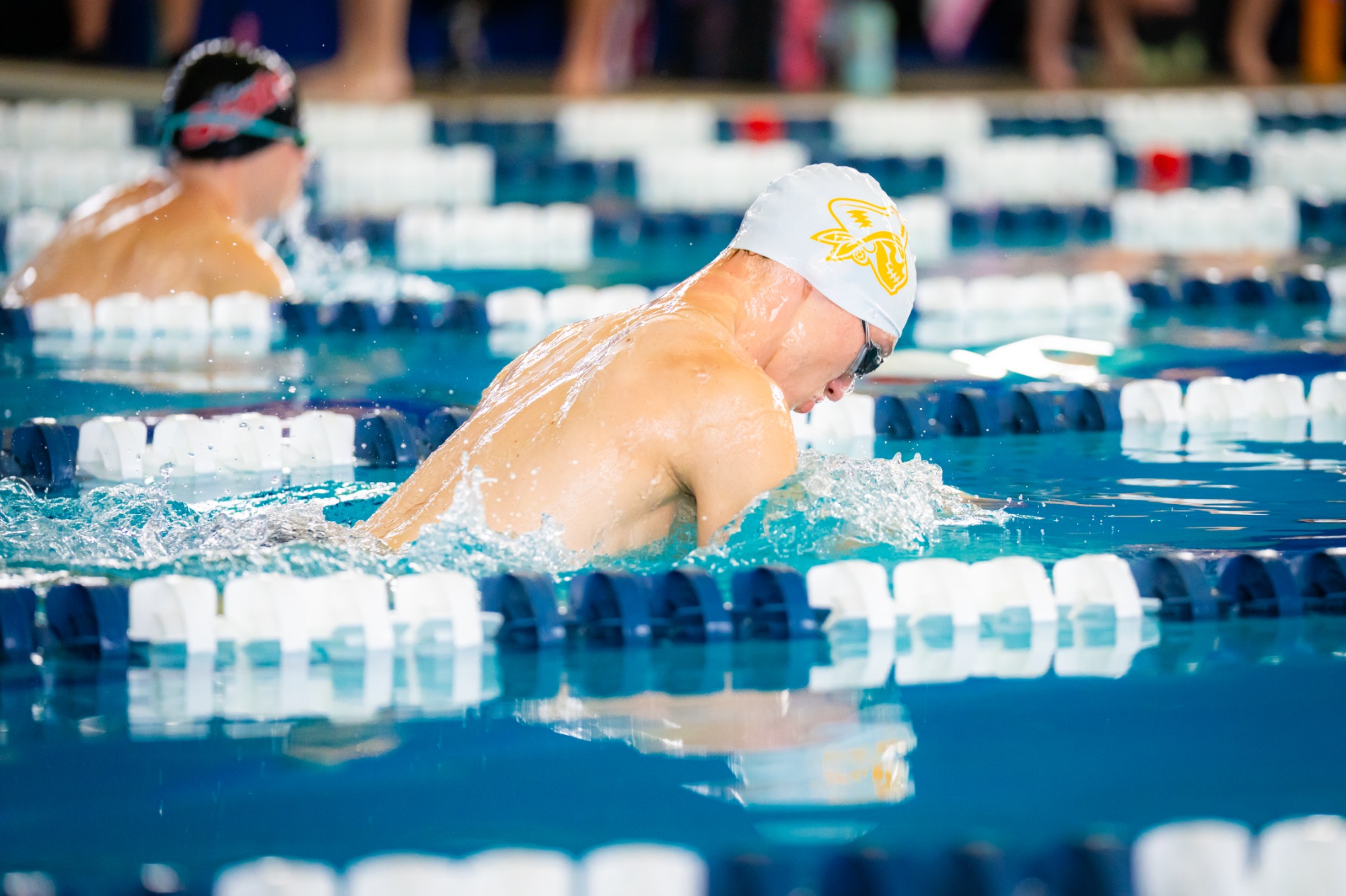 Beloit College Swimming and Diving hosts their Midseason Invite on Friday, November 21, 2025, at the Robert G. Nicholls Natatorium in Beloit, Wisconsin. 

Photo by Kayla Wolf
