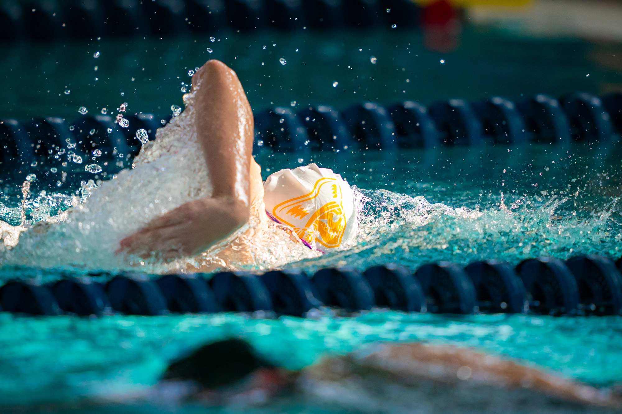 Beloit College Swimming and Diving hosts their Midseason Invite on Friday, November 21, 2025, at the Robert G. Nicholls Natatorium in Beloit, Wisconsin. 

Photo by Kayla Wolf