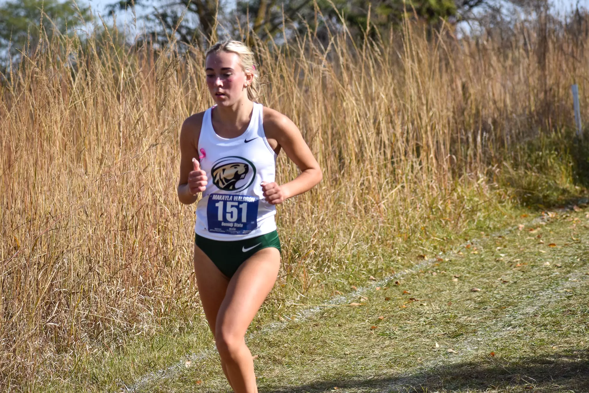 XC at NSIC Championships