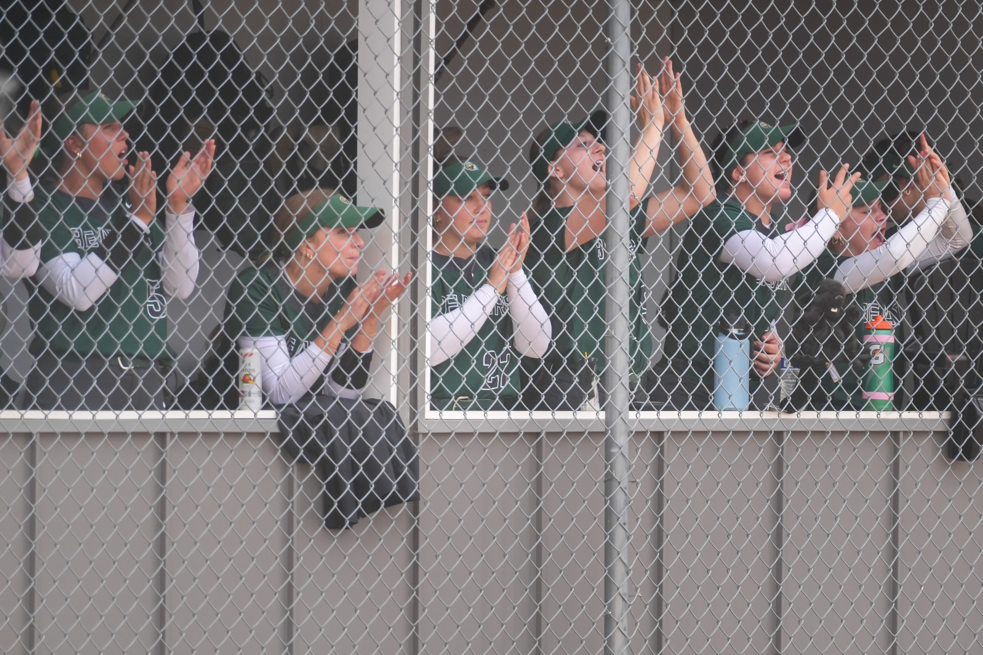 Softball at MSU Moorhead
