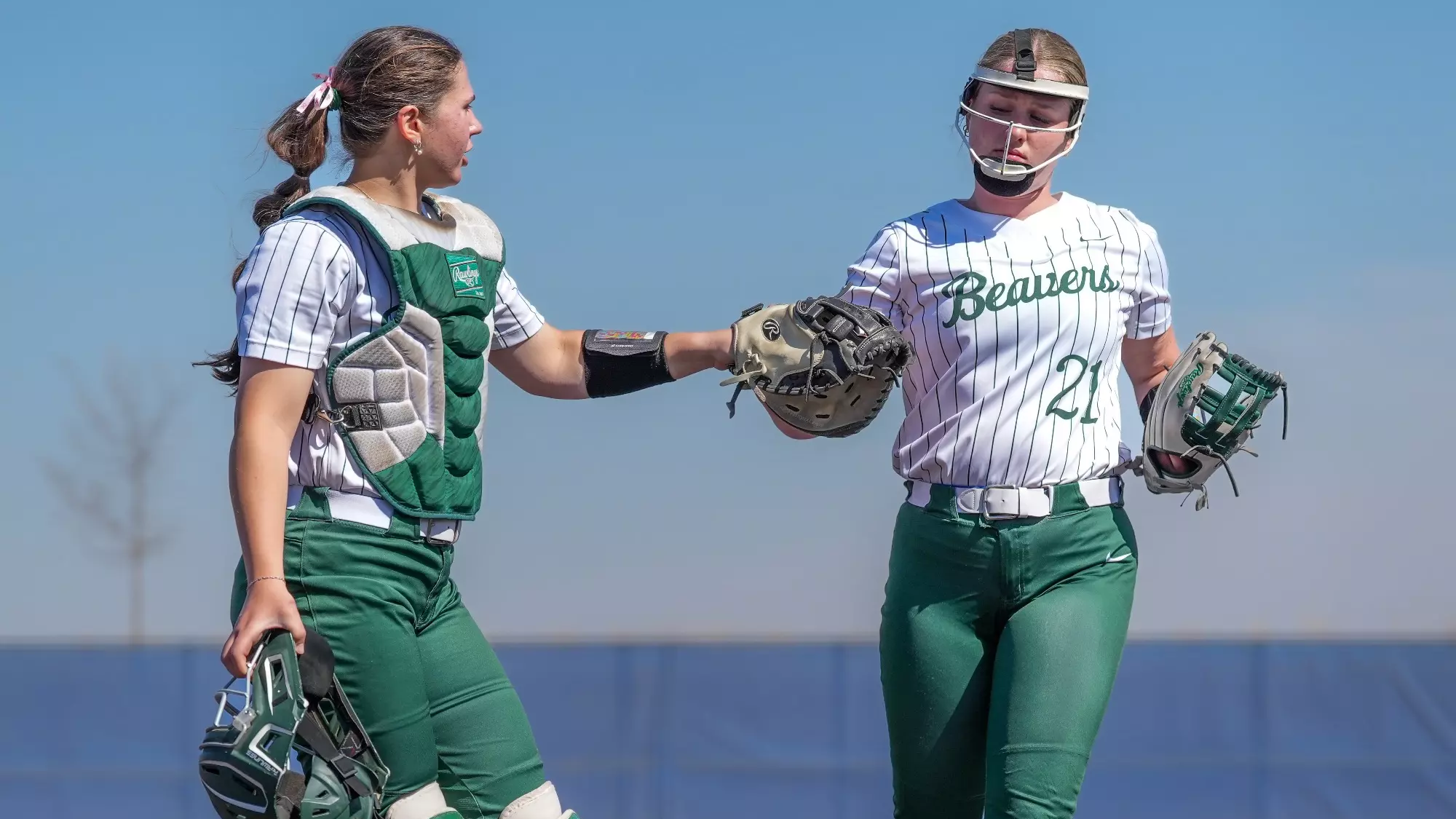 SB at USF