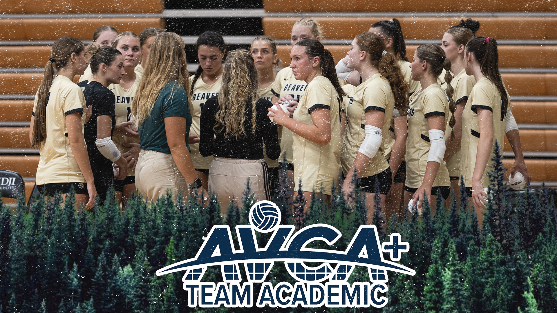 VB AVCA Academic 2026
