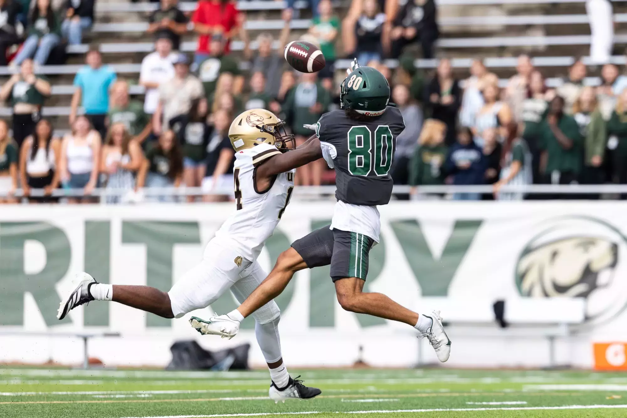 Bemidji State receiver No. 80 reaches for a pass as a Southwest Minnesota State defender makes contact.