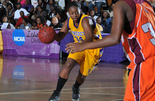 basket ball bretagne jackson