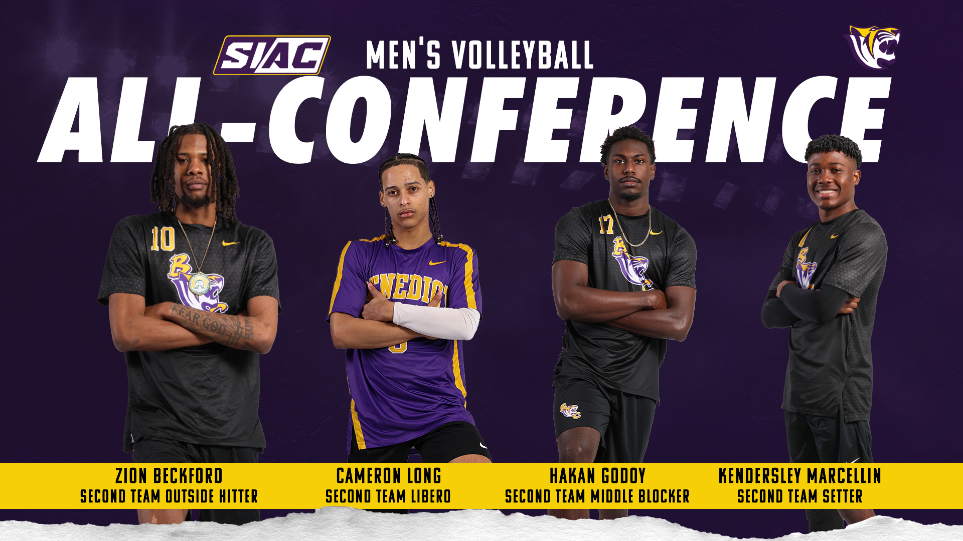 Men's VB All-Conference 2025