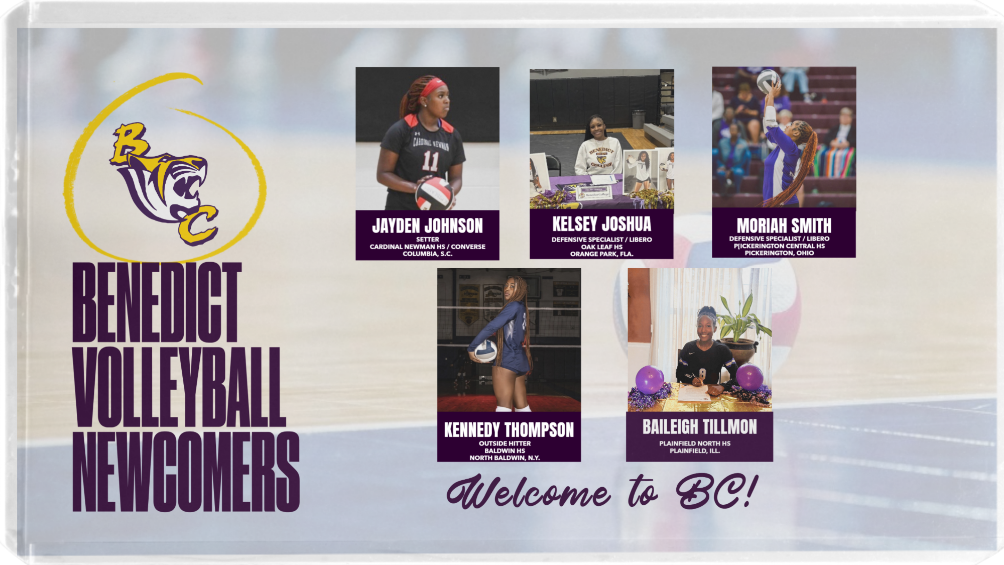 2026 WVB Signees