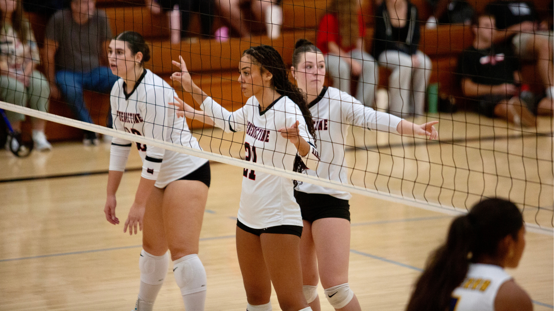 wvb