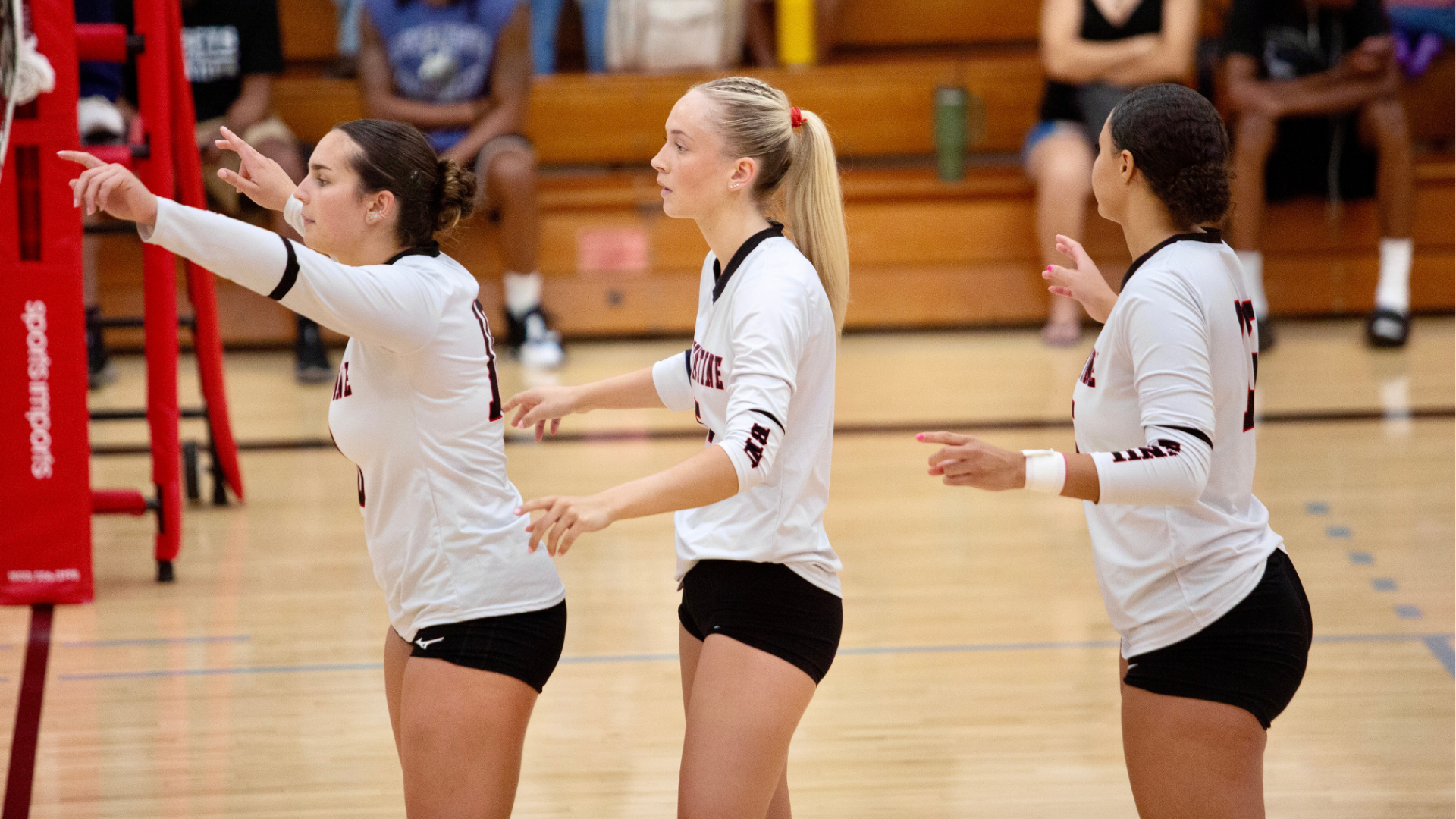 wvb