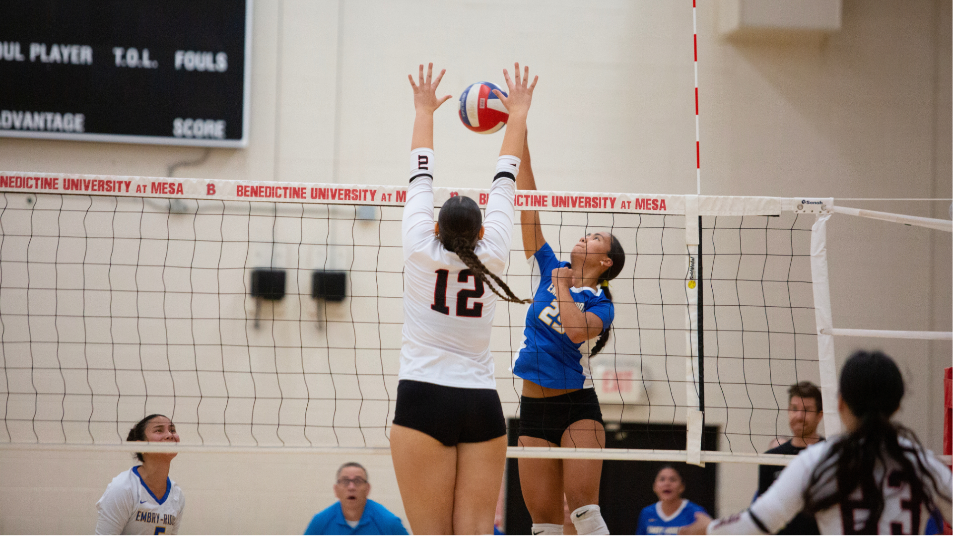 wvb