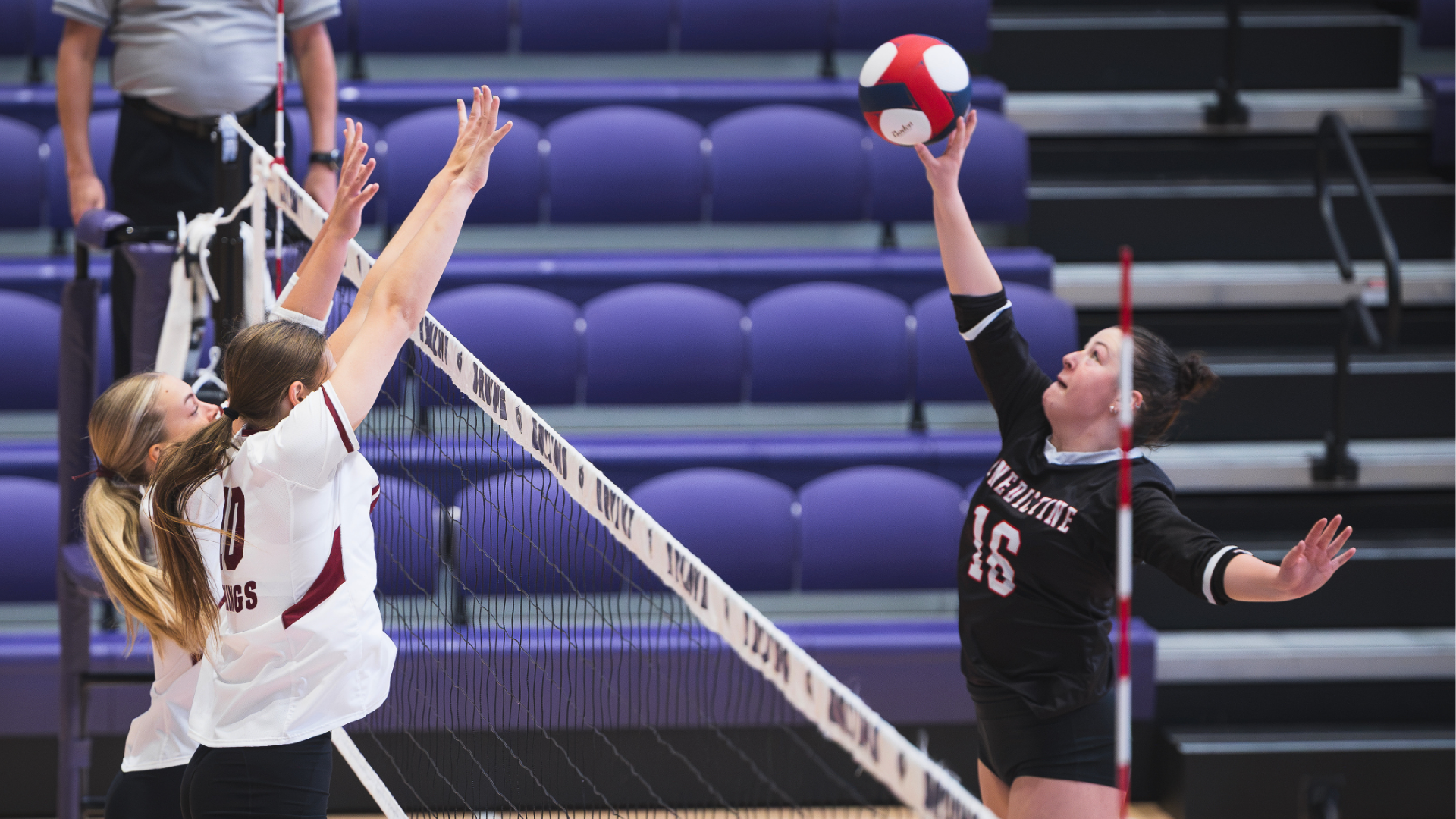 wvb