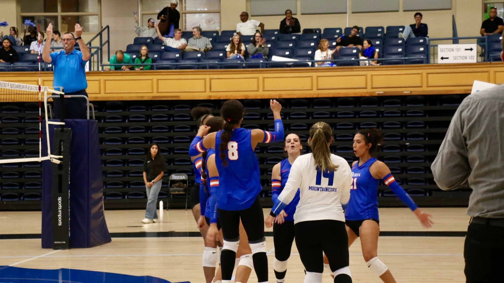 volleyball