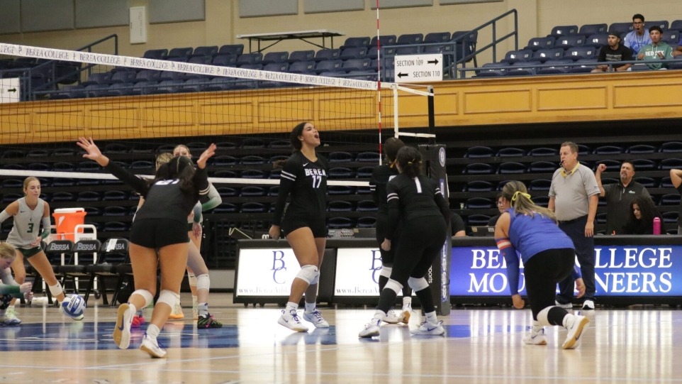 VOLLEYBALL