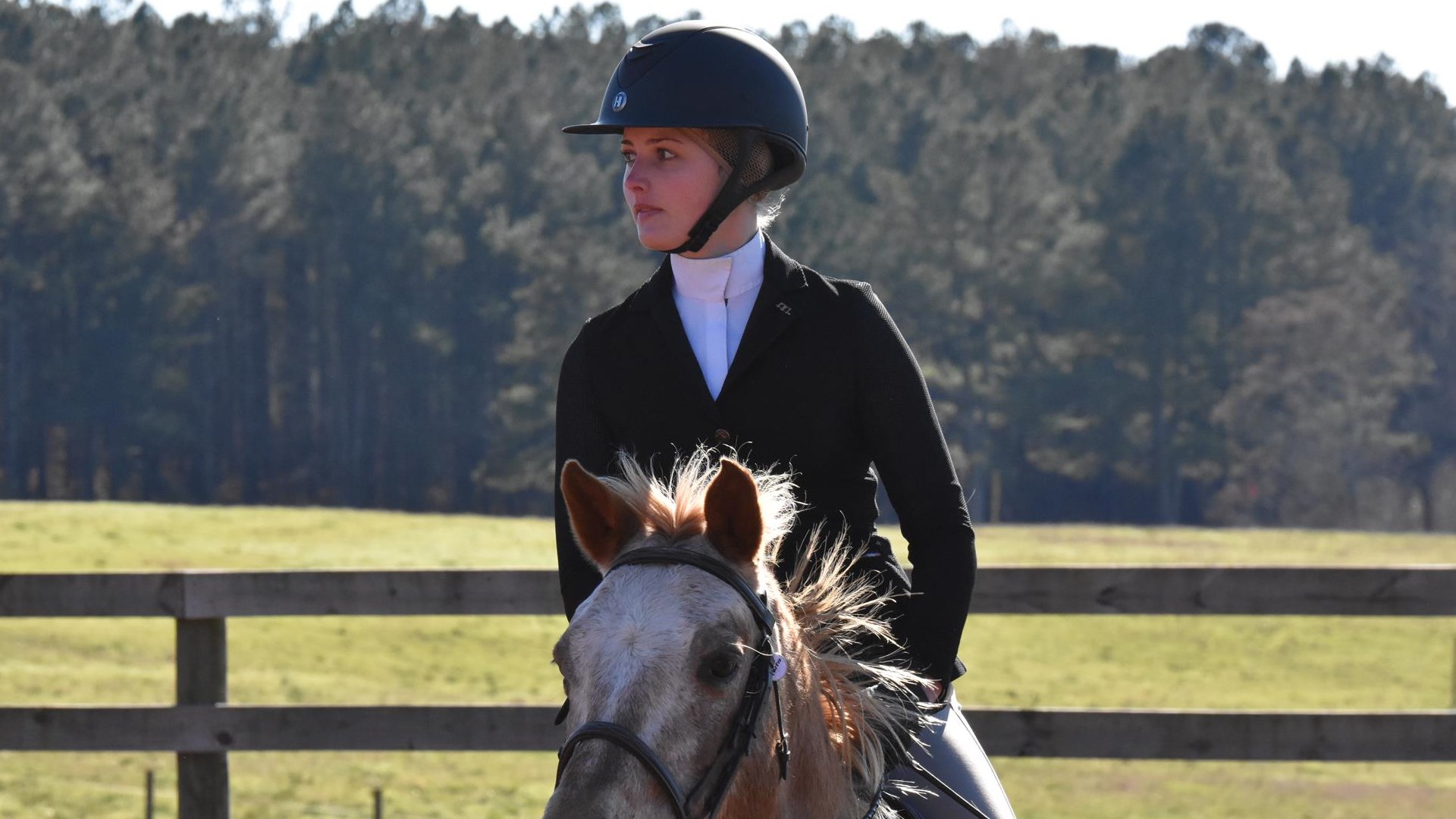 Equestrian Wins Region Championship Berry College