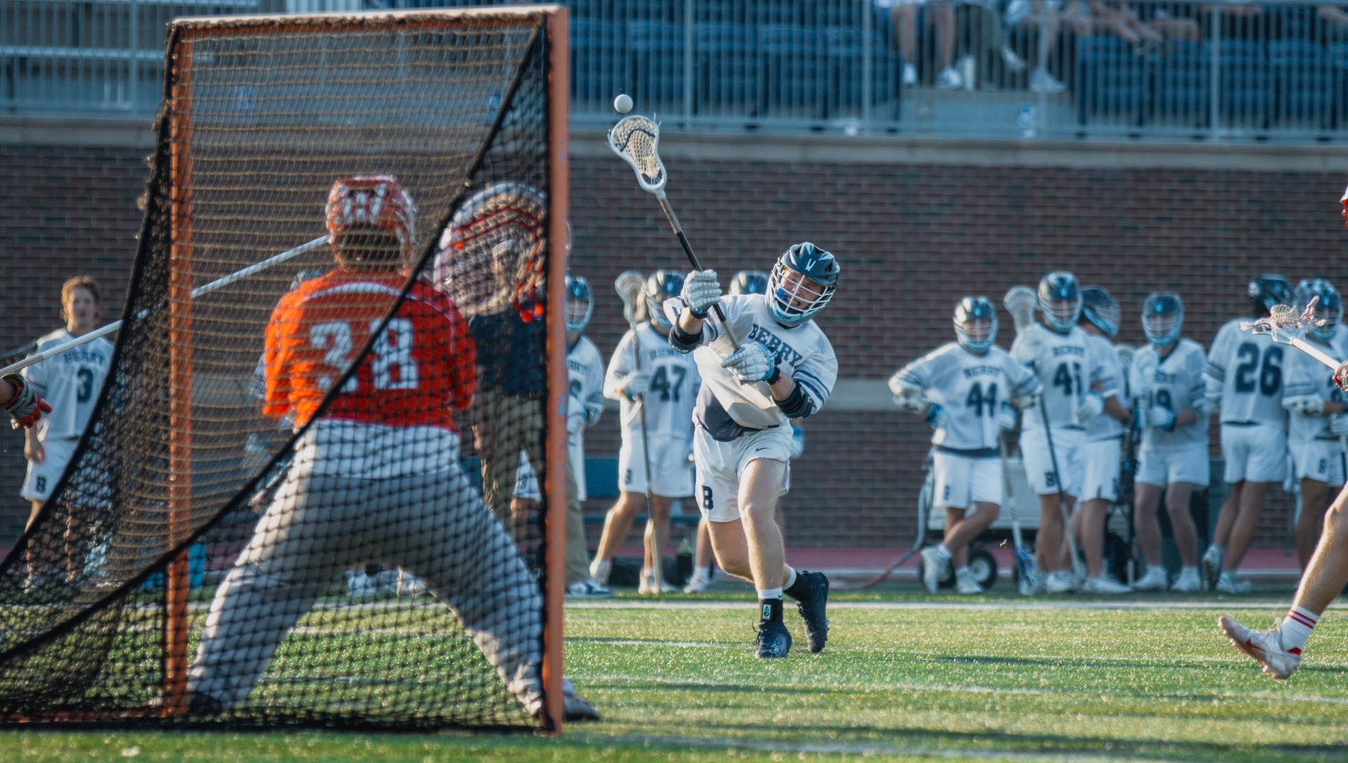 mlax