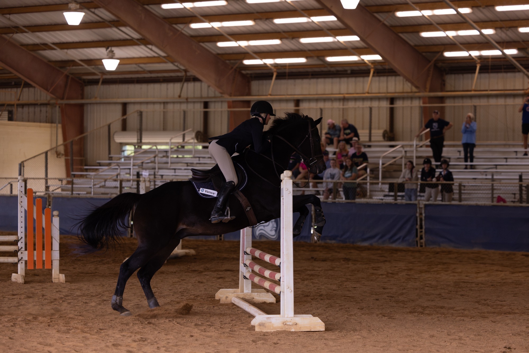 Equestrian vs Sweet Briar