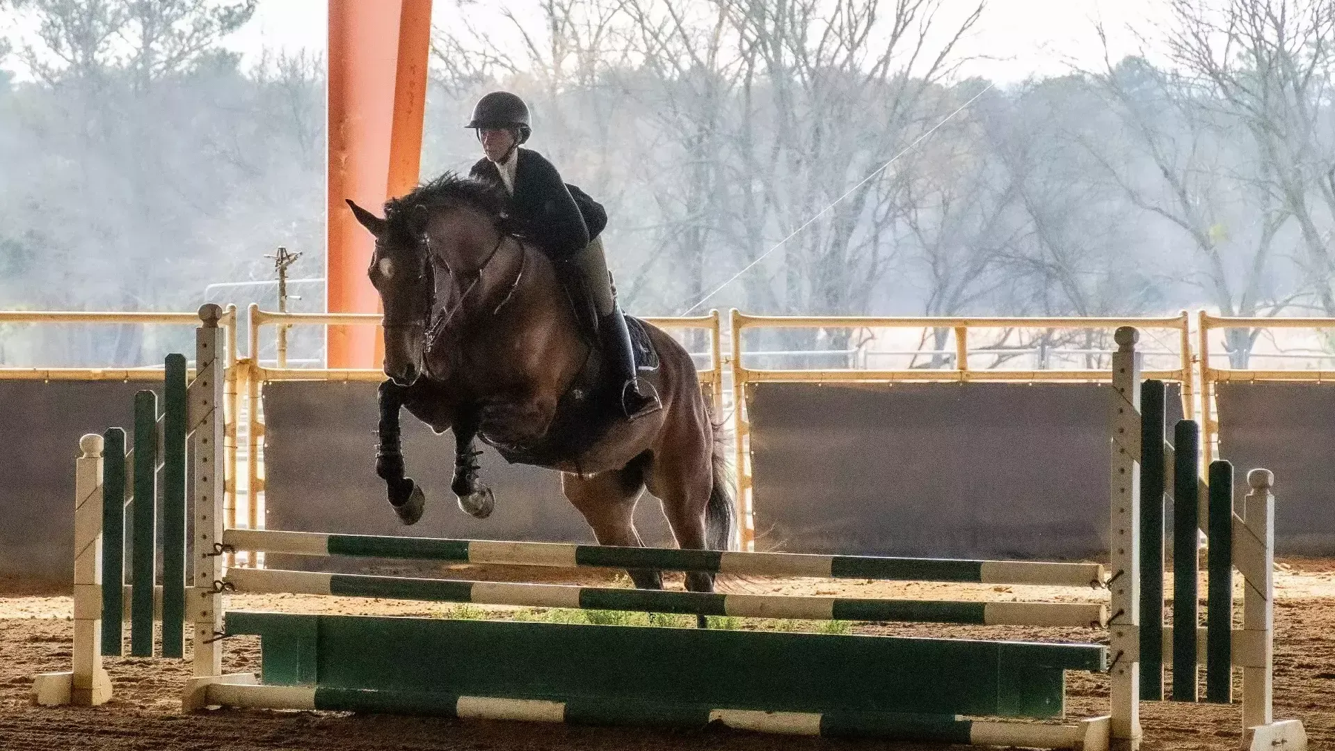 Equestrian vs Sweet Briar