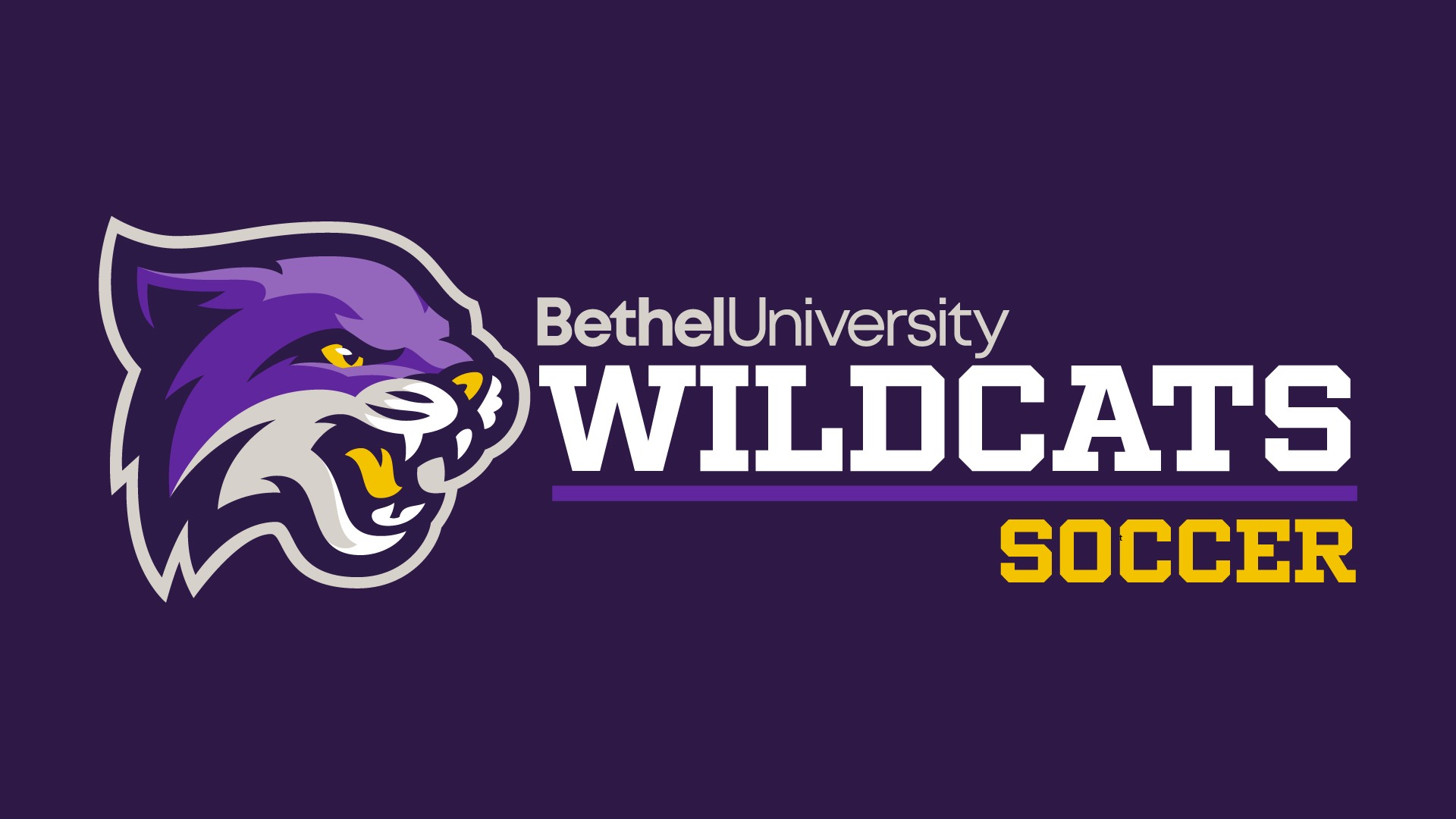 Lady Cats Fall at  CU