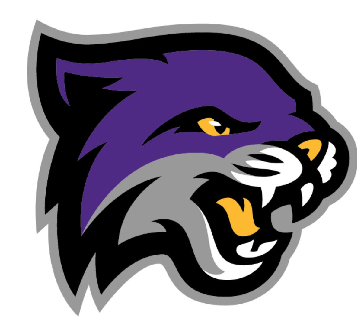 Men's Soc falls at CU
