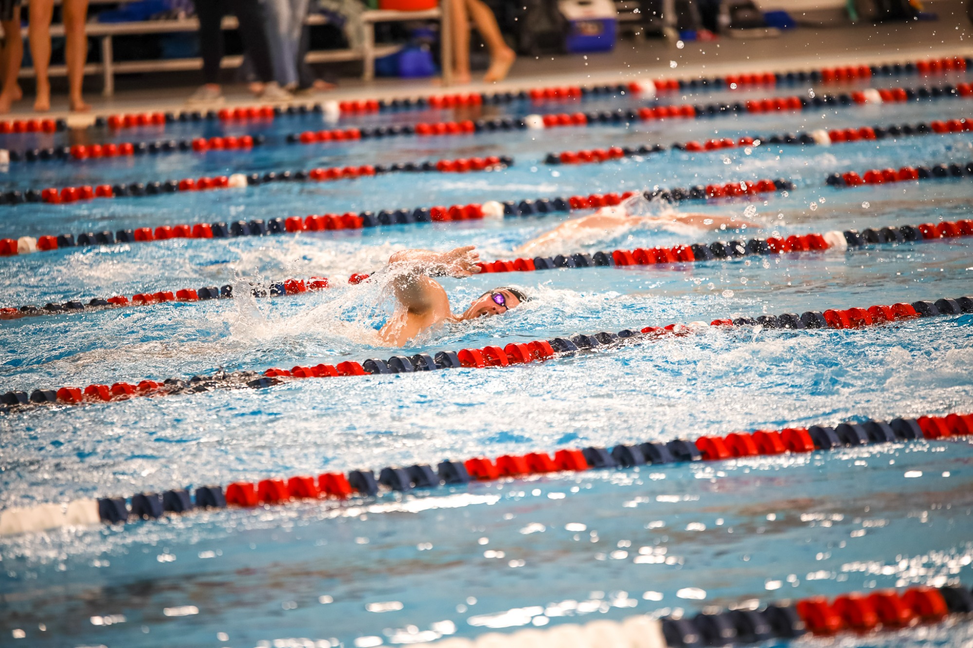 Swim and Dive hits 7 NAIA provisional times at ONU TriMeet Bethel University (Ind)