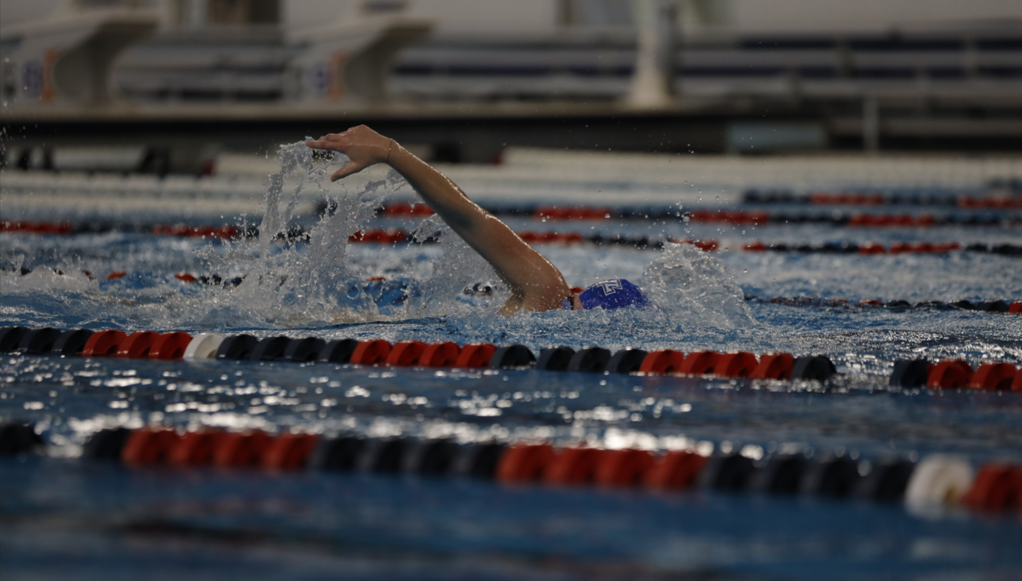 men's swim 