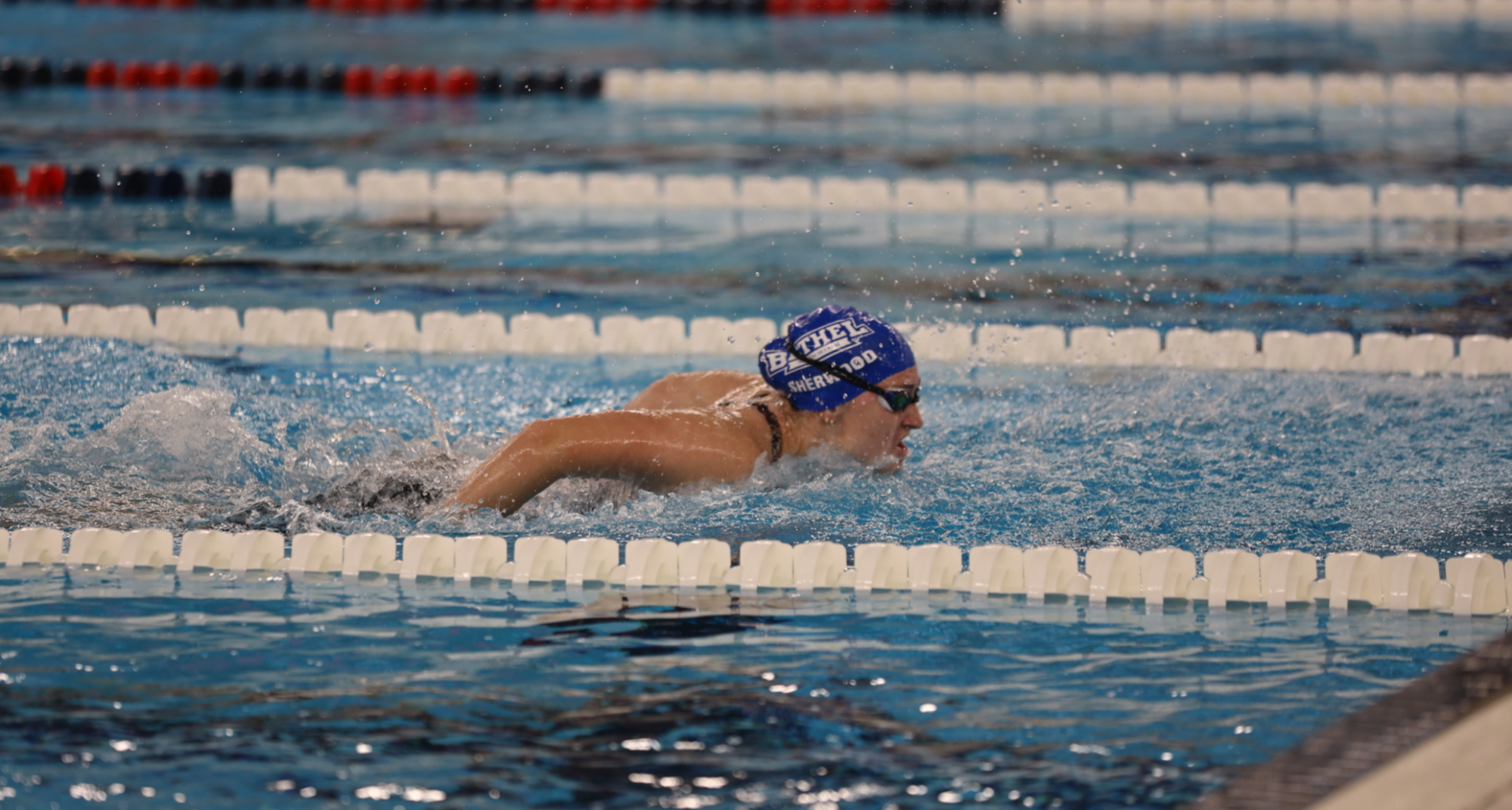 w swim 