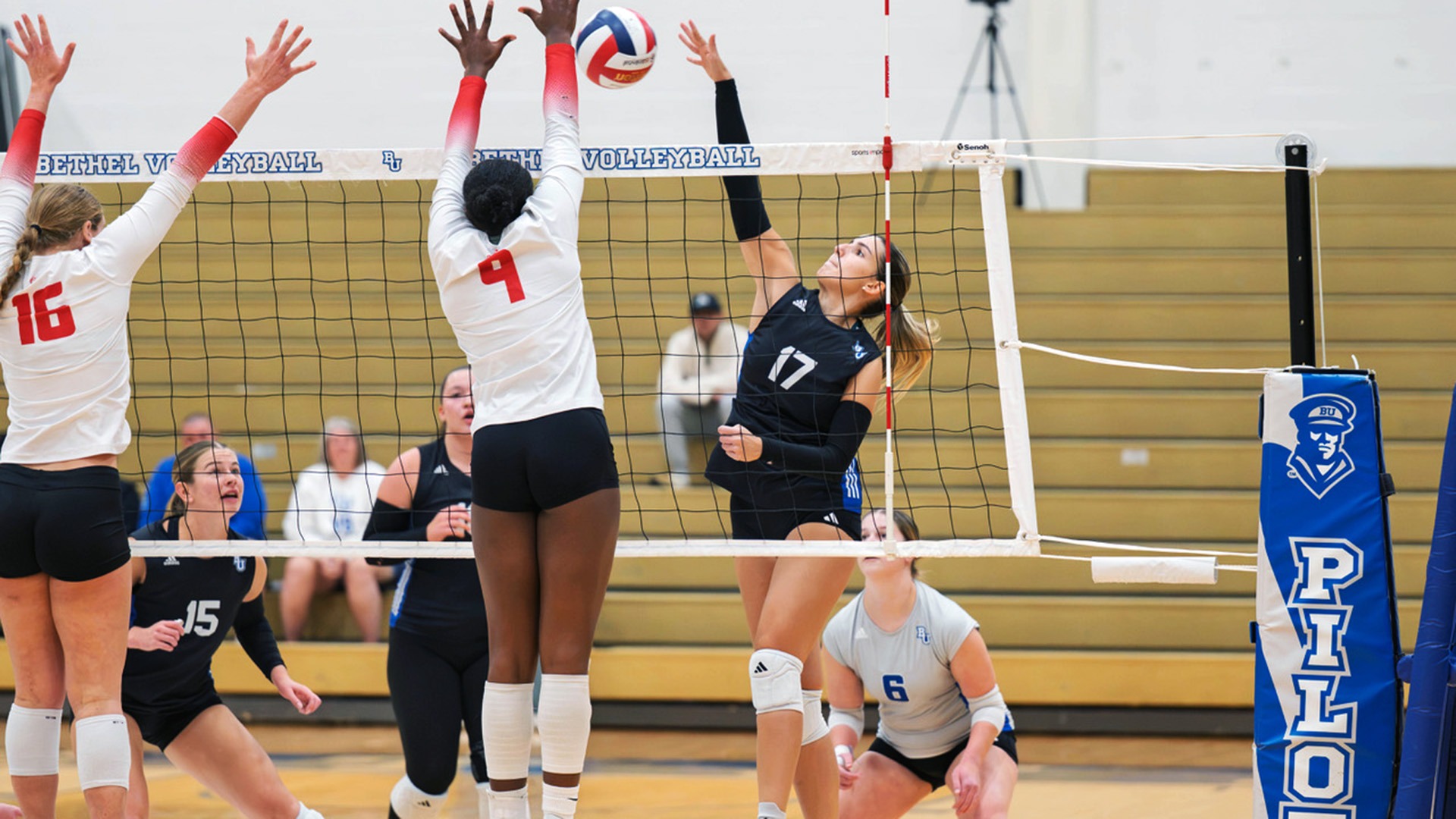 WVB vs IWU