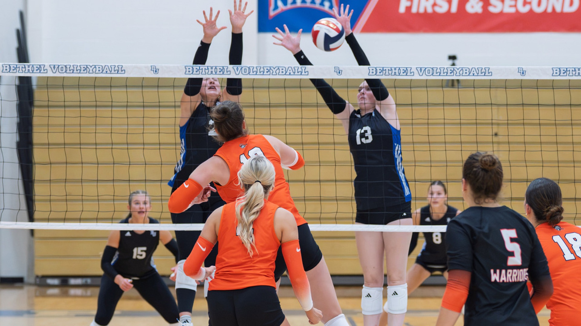 WVB vs IT