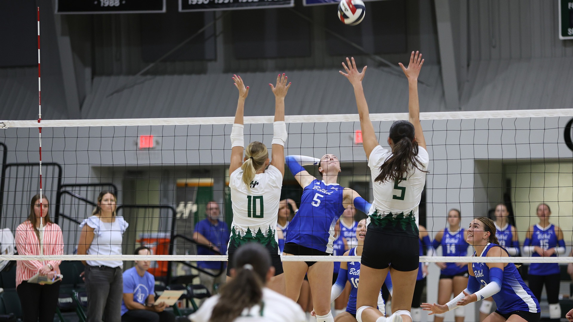 wvb vs goshen
