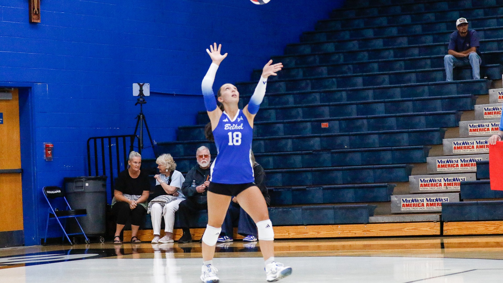 WVB vs SAU