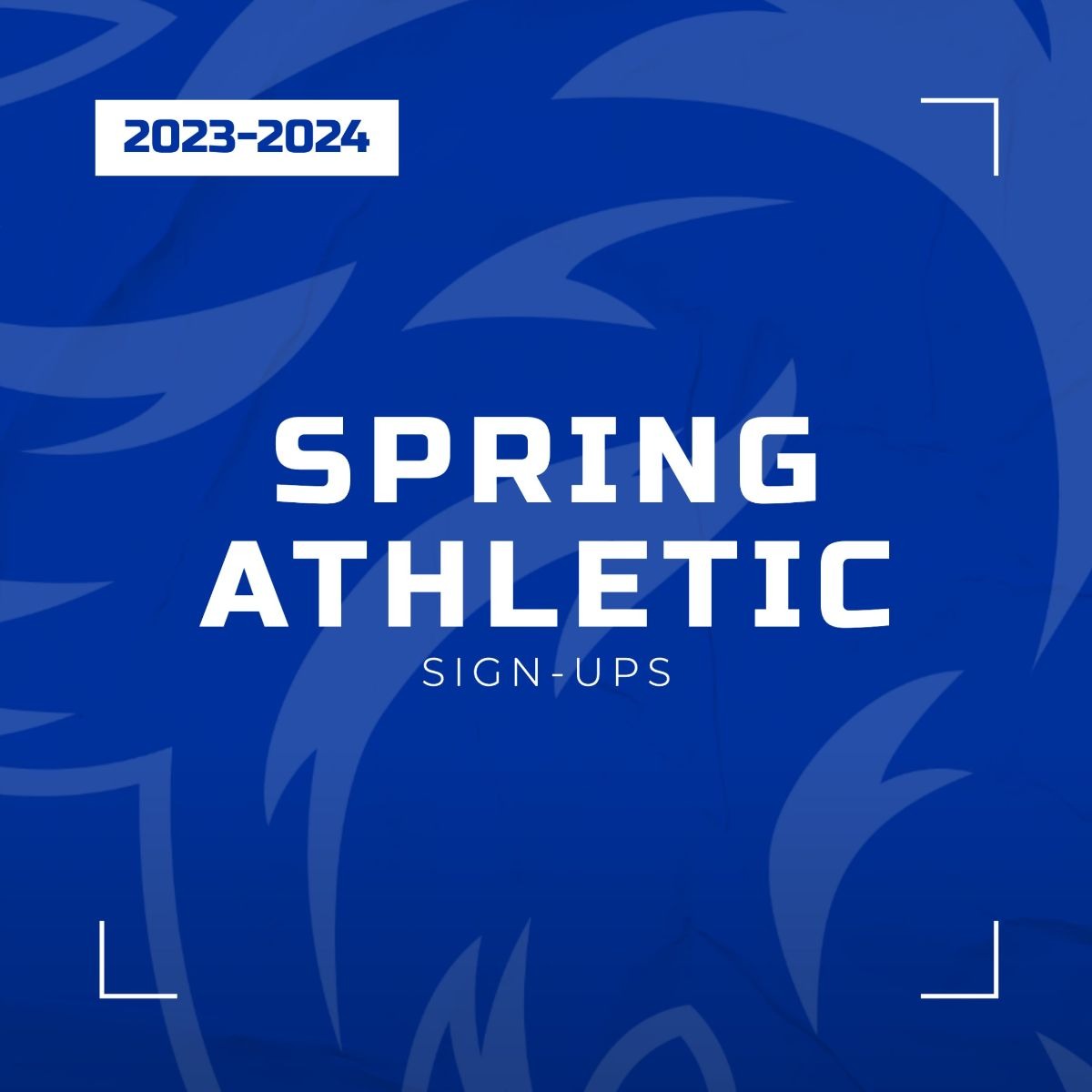 Spring Sports Signups