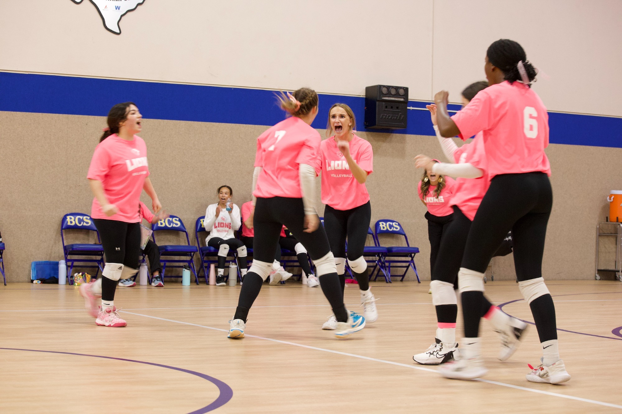 Varsity Volleyball Pink Out 2024
