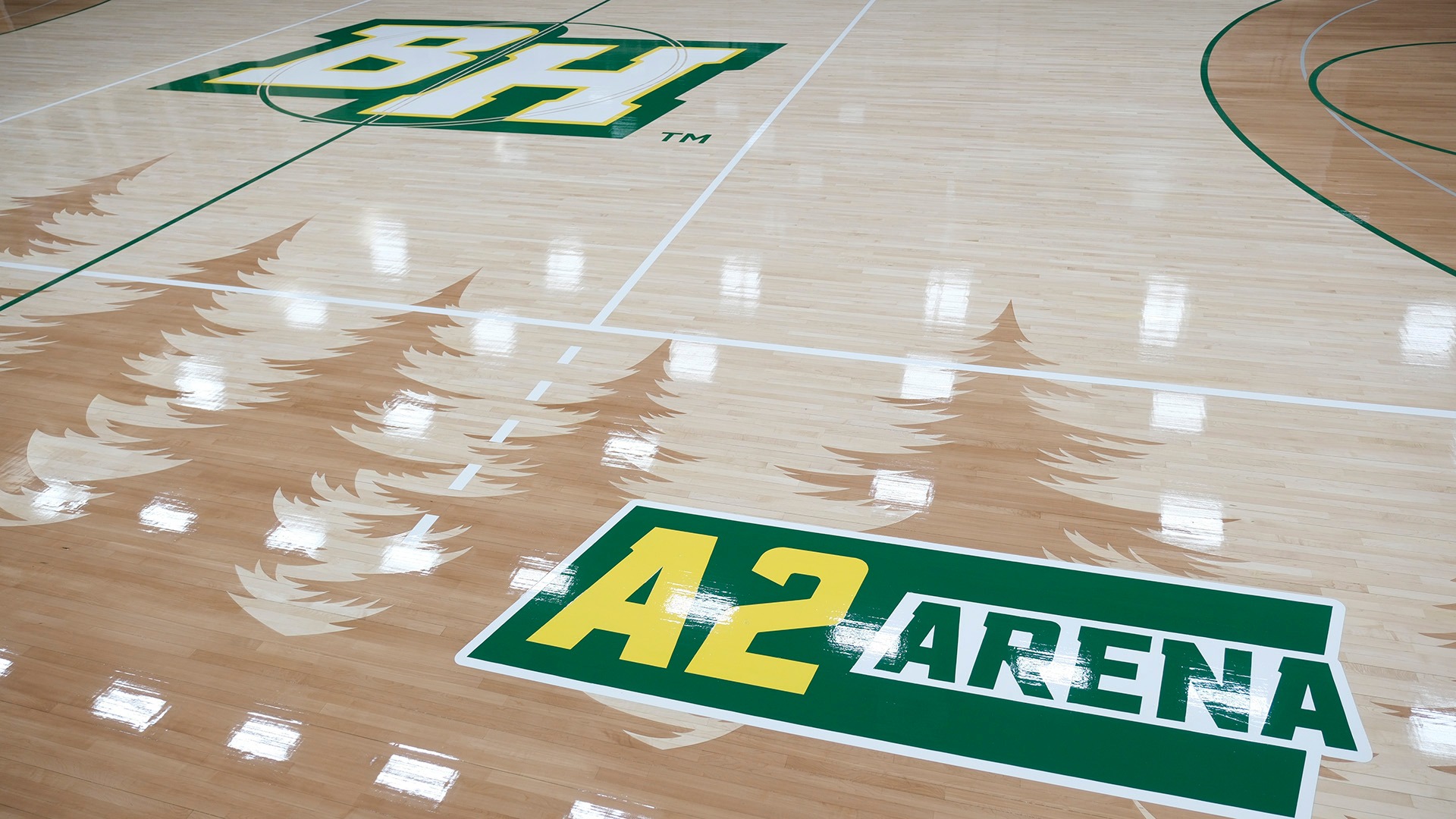A2 Arena Basketball & Volleyball Court