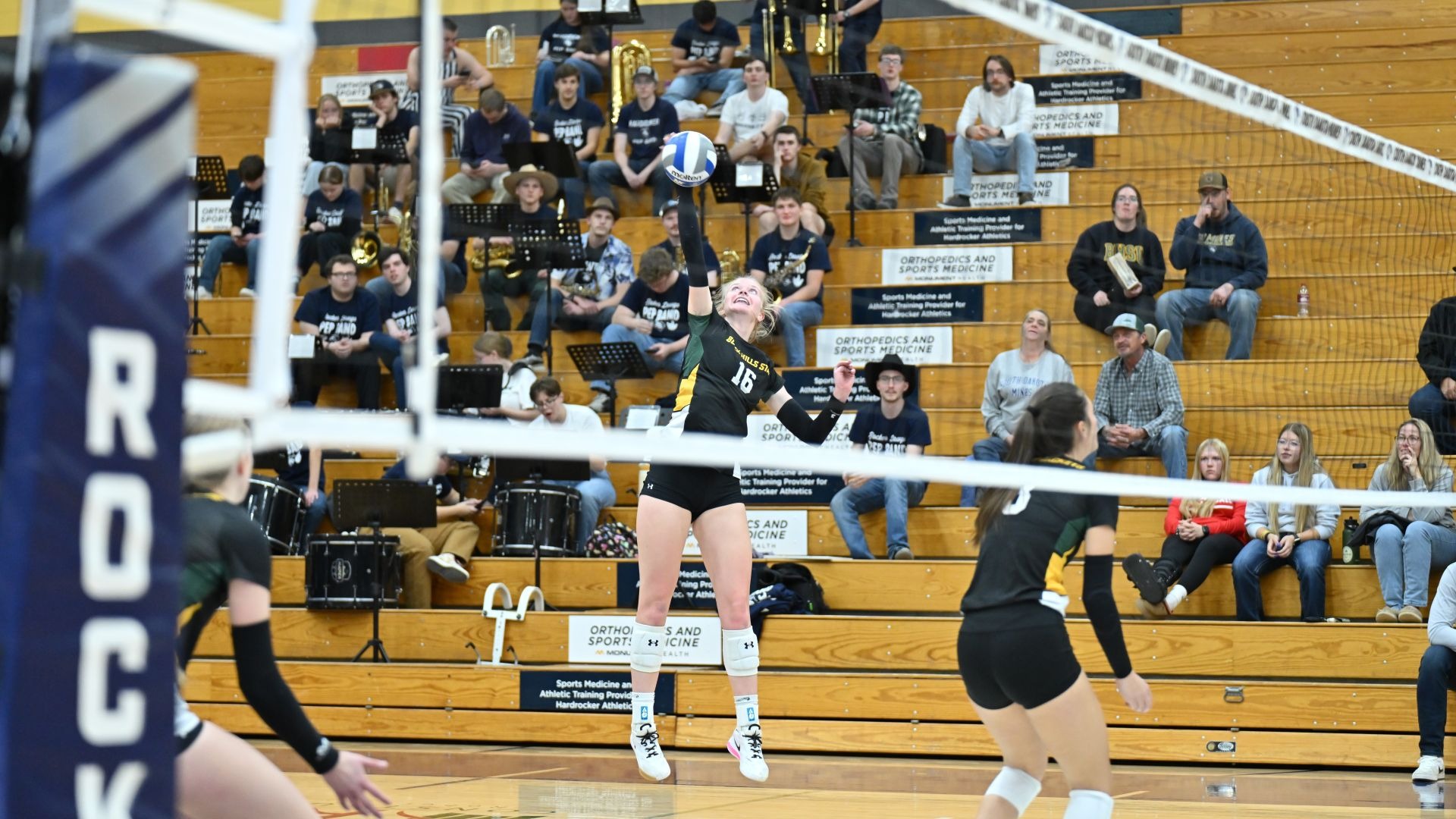 Randi Wellhoefer versus SDM