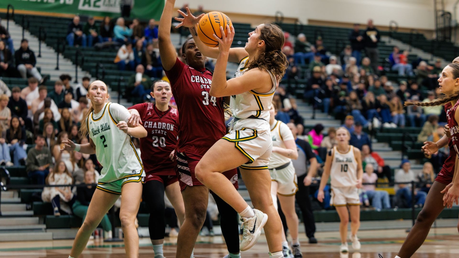 Sawyer Stoebner vs CSC