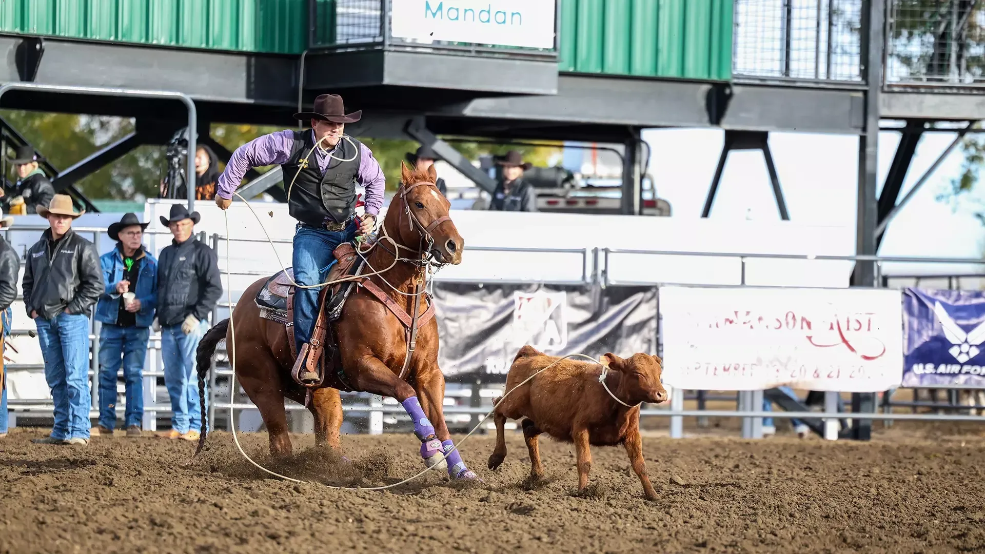 Luke Mavity at the Mystics Stampede Rodeo