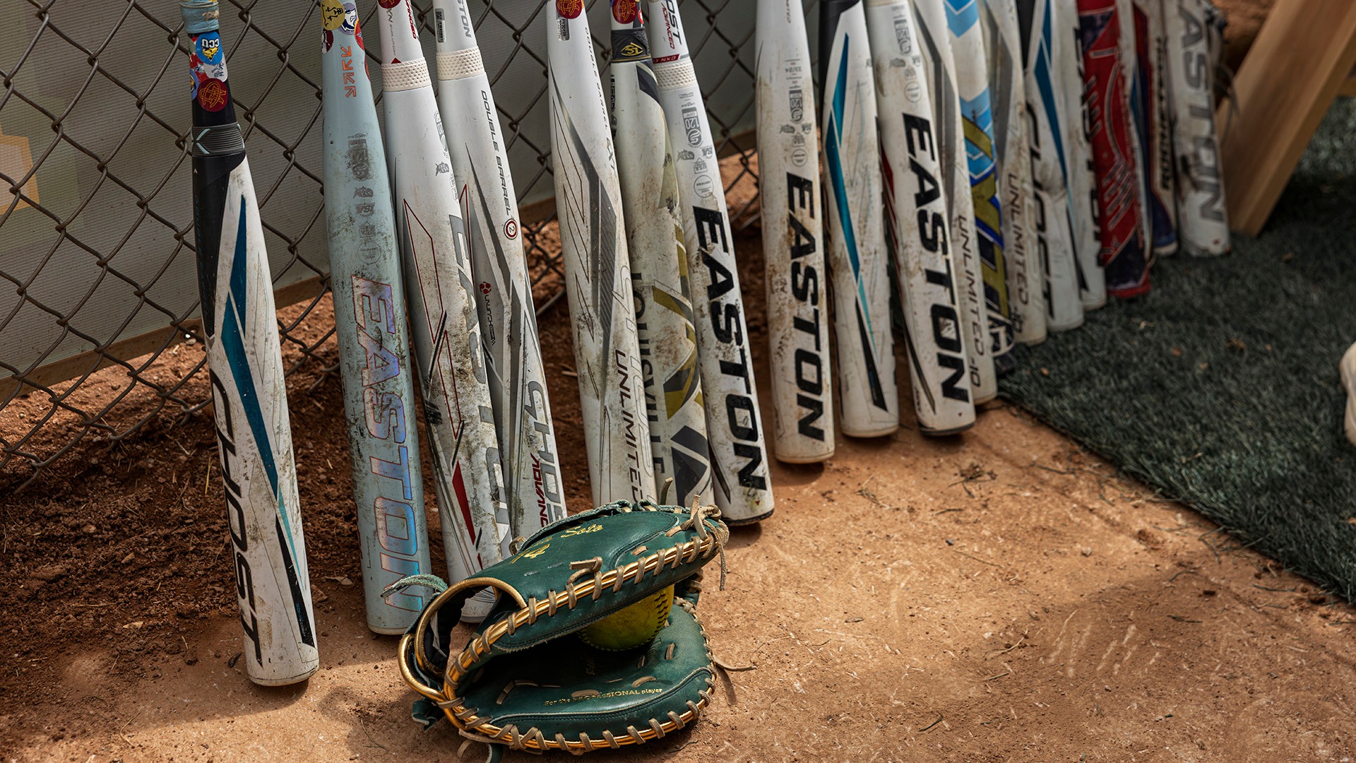 Softball Stock Image (Bats and Glove)