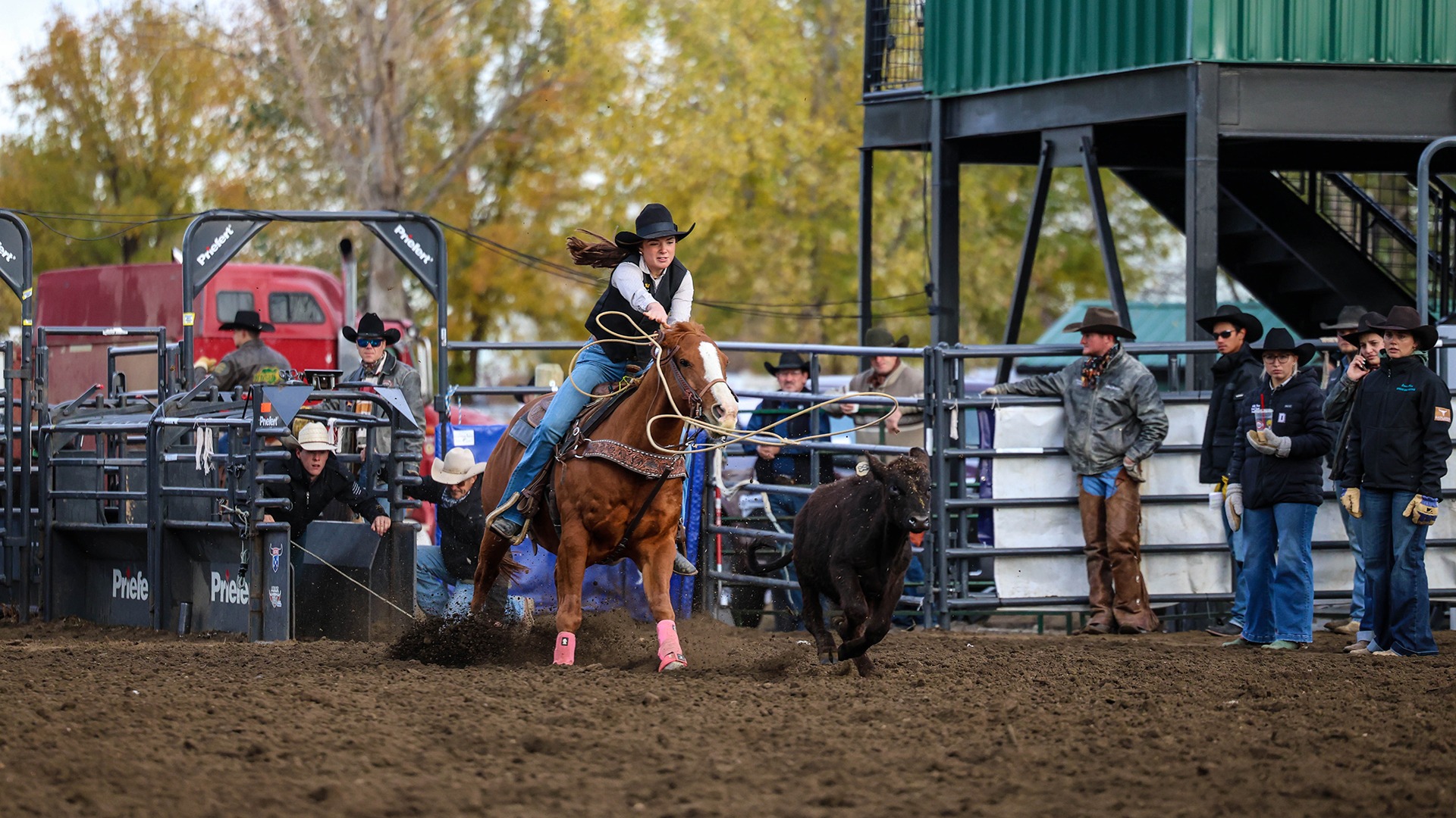 Linley Schmitz at the Mystics Stampede