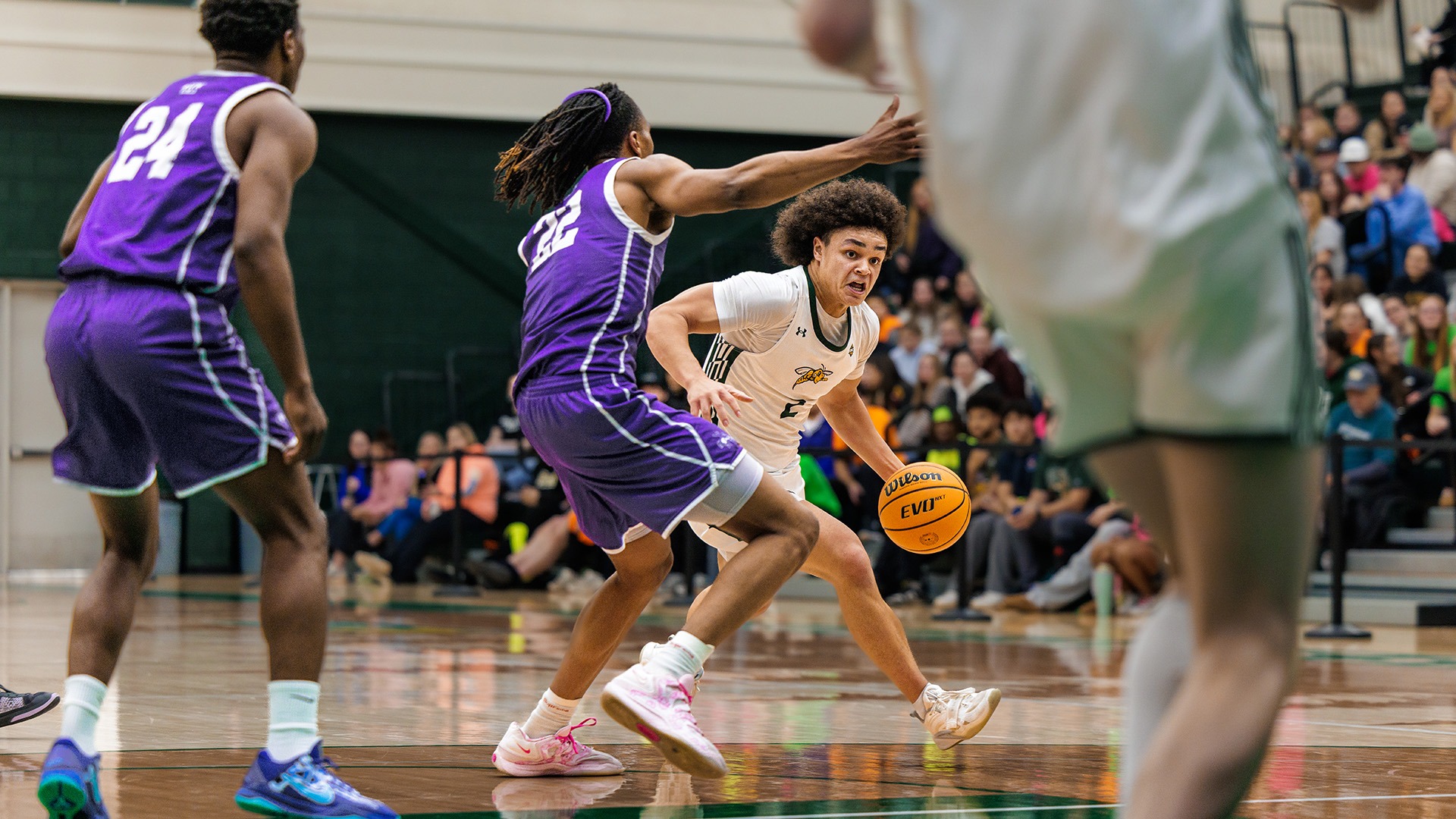 Jaeton Hackley vs. New Mexico Highlands