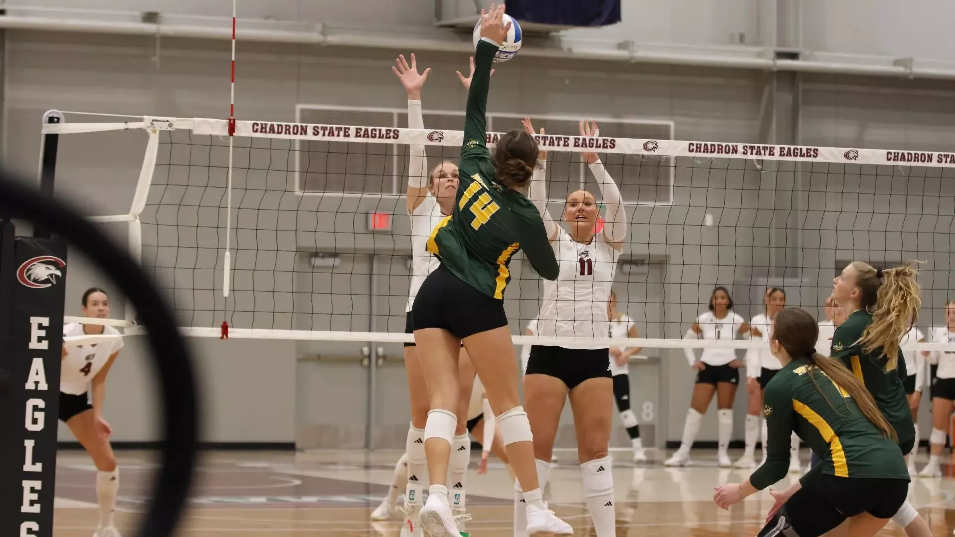 Carsyn Mettler vs CSC