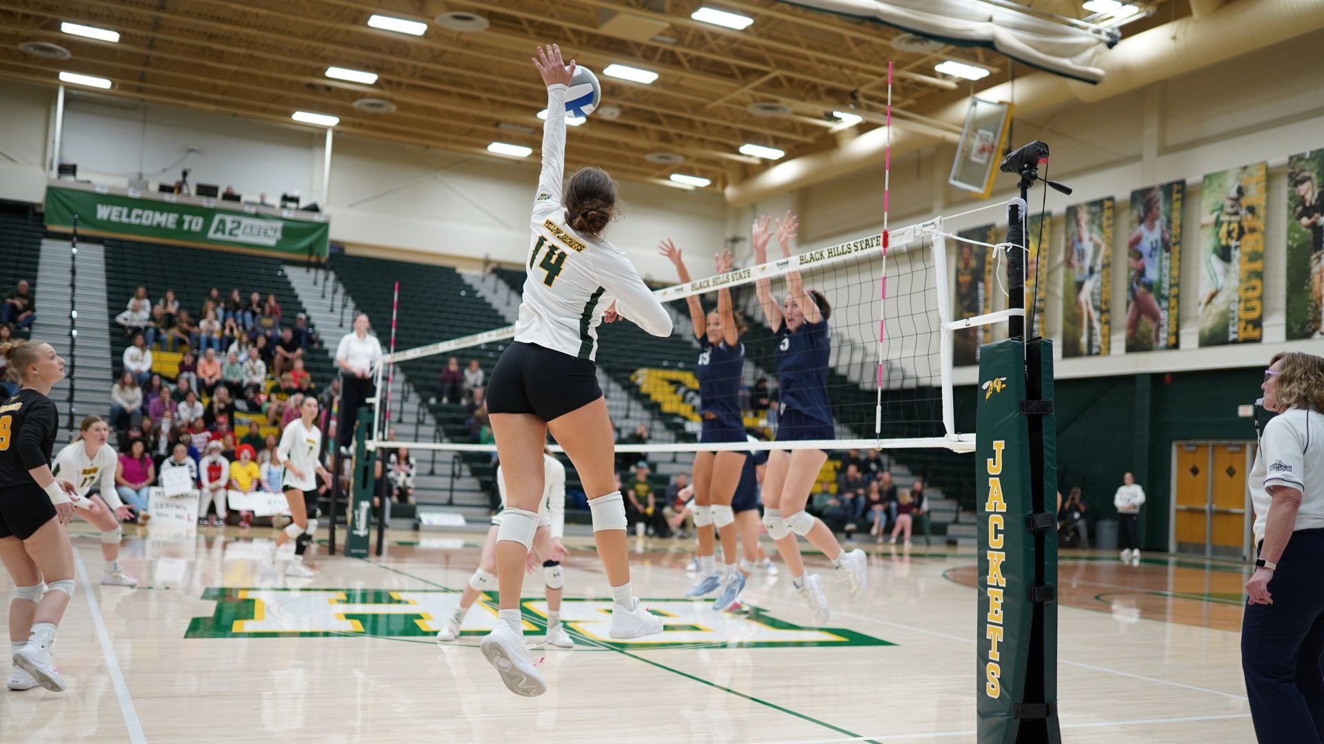 Carsyn Mettler versus SDM